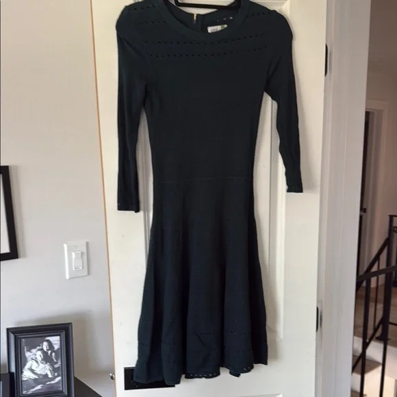 Eliza J Green Fit and Flare Long Sleeve Dress - Picture 1 of 3